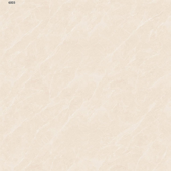 6003